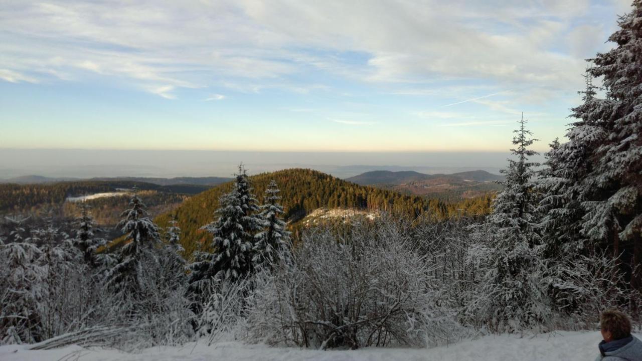Luxus FeWo Kleine Auszeit, kinder- u. hundefreundlich Goslar Exterior foto